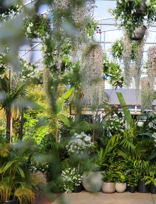 Event Plant Hire Melbourne - Green-Styling Event Venue - Glasshaus